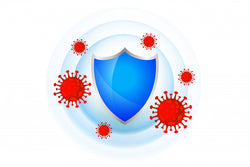 Immune System Boosters: How to Strengthen Your Body’s Natural Defenses