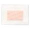 Polymem 4" x 5" Cloth Island PolyMeric Membrane Dressing