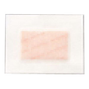 Polymem 4" x 5" Cloth Island PolyMeric Membrane Dressing