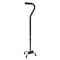 ProBasics Small Base Quad Cane, Black